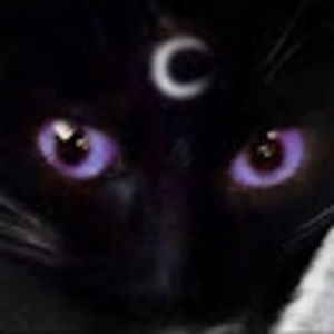 Meet your Posher, Paris